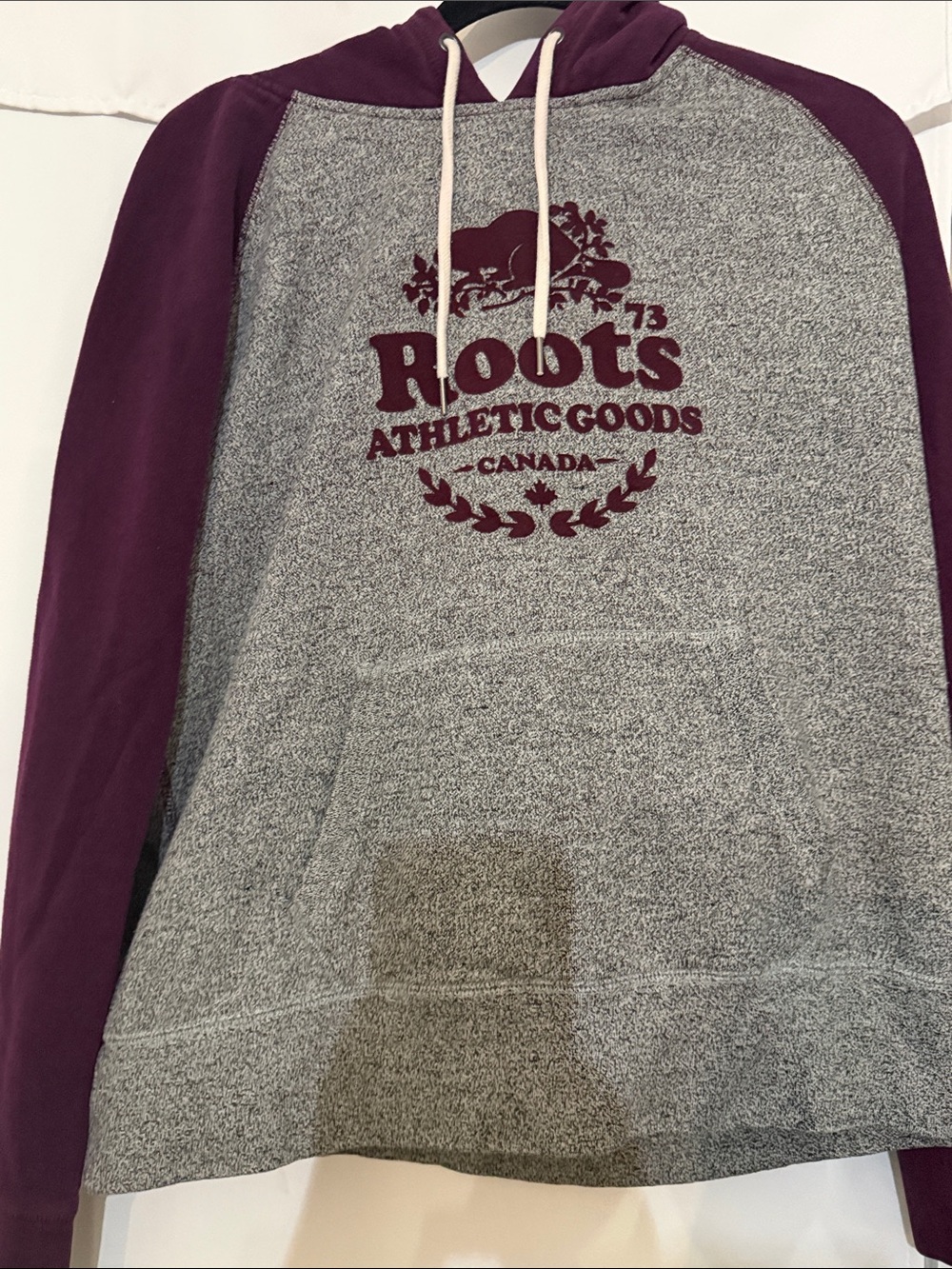 Roots Hooded Sweatshirt in Gray and Burgundy
